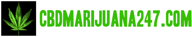 CBD Marijuana 247